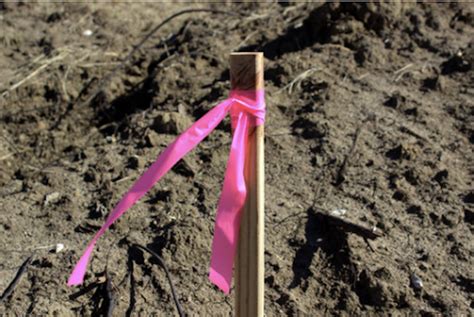 survey stakes meaning|Survey Marking Stakes .